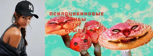 соль ск Инта