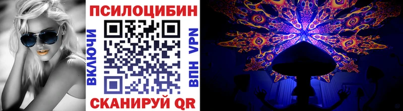 Галлюциногенные грибы прущие грибы  Купить закладки  Карачаевск 